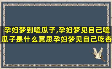 孕妇梦到嗑瓜子,孕妇梦见自己嗑瓜子是什么意思孕妇梦见自己吃杏核