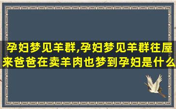 孕妇梦见羊群,孕妇梦见羊群往屋来爸爸在卖羊肉也梦到孕妇是什么预兆