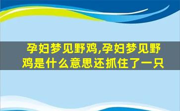 孕妇梦见野鸡,孕妇梦见野鸡是什么意思还抓住了一只