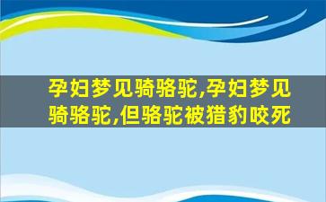 孕妇梦见骑骆驼,孕妇梦见骑骆驼,但骆驼被猎豹咬死