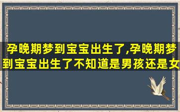 孕晚期梦到宝宝出生了,孕晚期梦到宝宝出生了不知道是男孩还是女孩