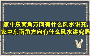 家中东南角方向有什么风水讲究,家中东南角方向有什么风水讲究吗