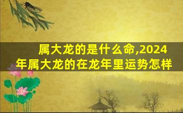 属大龙的是什么命,2024年属大龙的在龙年里运势怎样