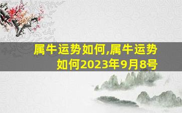 属牛运势如何,属牛运势如何2023年9月8号