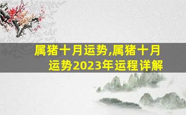 属猪十月运势,属猪十月运势2023年运程详解