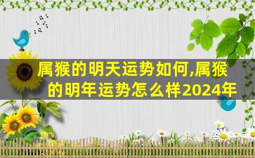 属猴的明天运势如何,属猴的明年运势怎么样2024年