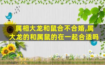 属相大龙和鼠合不合婚,属大龙的和属鼠的在一起合适吗