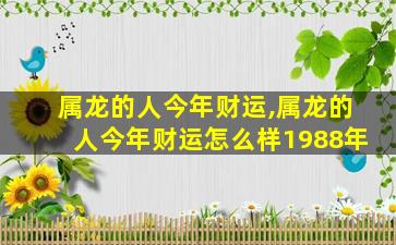 属龙的人今年财运,属龙的人今年财运怎么样1988年