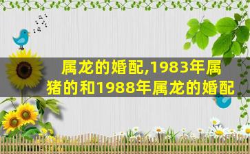 属龙的婚配,1983年属猪的和1988年属龙的婚配