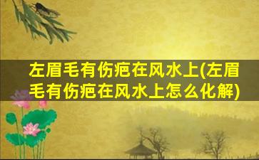 左眉毛有伤疤在风水上(左眉毛有伤疤在风水上怎么化解)