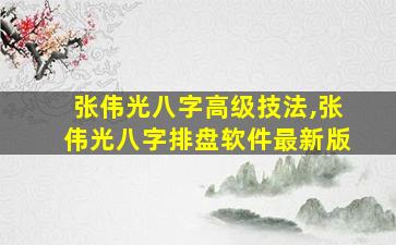 张伟光八字高级技法,张伟光八字排盘软件最新版