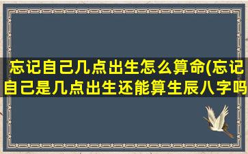 忘记自己几点出生怎么算命(忘记自己是几点出生还能算生辰八字吗)