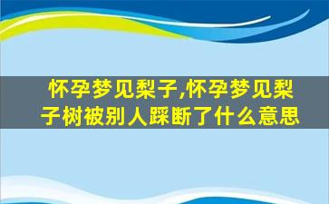 怀孕梦见梨子,怀孕梦见梨子树被别人踩断了什么意思