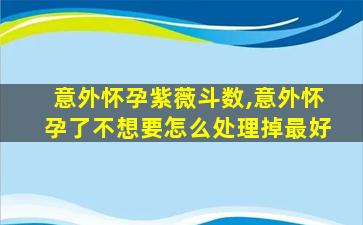 意外怀孕紫薇斗数,意外怀孕了不想要怎么处理掉最好