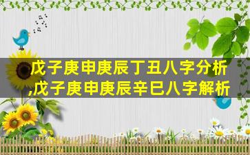 戊子庚申庚辰丁丑八字分析,戊子庚申庚辰辛巳八字解析