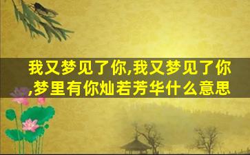 我又梦见了你,我又梦见了你,梦里有你灿若芳华什么意思