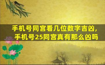 手机号同宫看几位数字吉凶,手机号25同宫真有那么凶吗