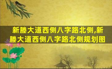 新塍大道西侧八字路北侧,新塍大道西侧八字路北侧规划图