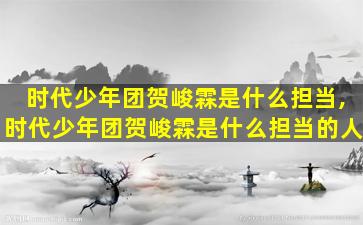 时代少年团贺峻霖是什么担当,时代少年团贺峻霖是什么担当的人