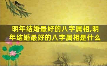 明年结婚最好的八字属相,明年结婚最好的八字属相是什么