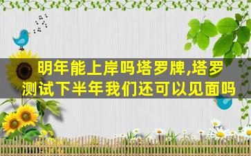 明年能上岸吗塔罗牌,塔罗测试下半年我们还可以见面吗