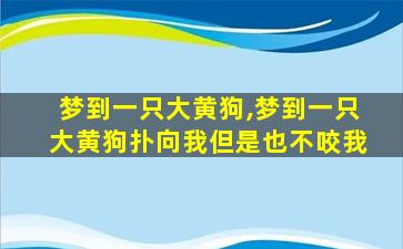 梦到一只大黄狗,梦到一只大黄狗扑向我但是也不咬我