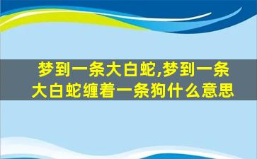 梦到一条大白蛇,梦到一条大白蛇缠着一条狗什么意思