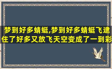 梦到好多蜻蜓,梦到好多蜻蜓飞逮住了好多又放飞天空变成了一到彩虹