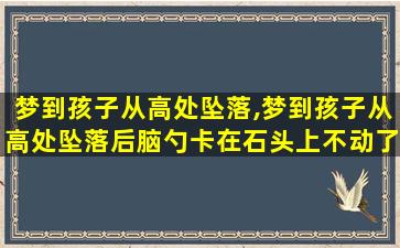 梦到孩子从高处坠落,梦到孩子从高处坠落后脑勺卡在石头上不动了