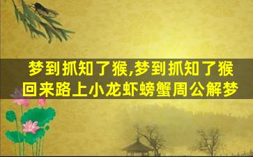 梦到抓知了猴,梦到抓知了猴回来路上小龙虾螃蟹周公解梦