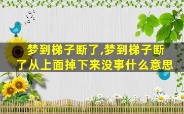 梦到梯子断了,梦到梯子断了从上面掉下来没事什么意思