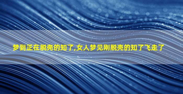 梦到正在脱壳的知了,女人梦见刚脱壳的知了飞走了