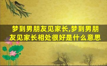 梦到男朋友见家长,梦到男朋友见家长相处很好是什么意思