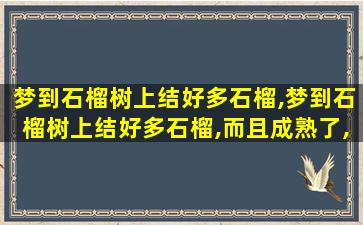 梦到石榴树上结好多石榴,梦到石榴树上结好多石榴,而且成熟了,特别甜