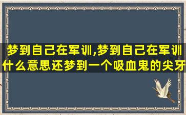 梦到自己在军训,梦到自己在军训什么意思还梦到一个吸血鬼的尖牙