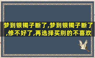 梦到银镯子断了,梦到银镯子断了,修不好了,再选择买别的不喜欢