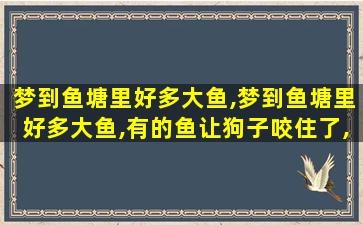 梦到鱼塘里好多大鱼,梦到鱼塘里好多大鱼,有的鱼让狗子咬住了,有的鱼死了