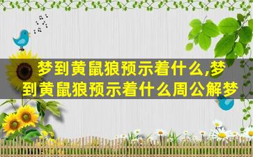 梦到黄鼠狼预示着什么,梦到黄鼠狼预示着什么周公解梦