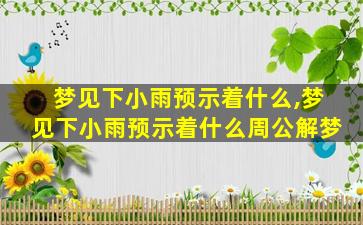 梦见下小雨预示着什么,梦见下小雨预示着什么周公解梦