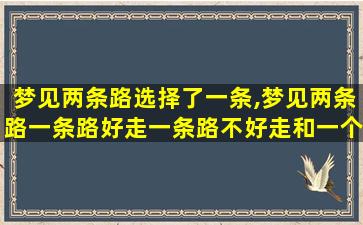 梦见两条路选择了一条,梦见两条路一条路好走一条路不好走和一个坑