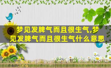 梦见发脾气而且很生气,梦见发脾气而且很生气什么意思