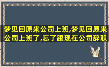 梦见回原来公司上班,梦见回原来公司上班了,忘了跟现在公司辞职