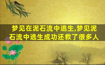 梦见在泥石流中逃生,梦见泥石流中逃生成功还救了很多人