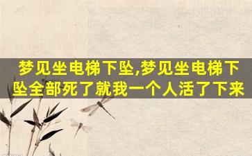 梦见坐电梯下坠,梦见坐电梯下坠全部死了就我一个人活了下来