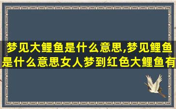 梦见大鲤鱼是什么意思,梦见鲤鱼是什么意思女人梦到红色大鲤鱼有什么预兆