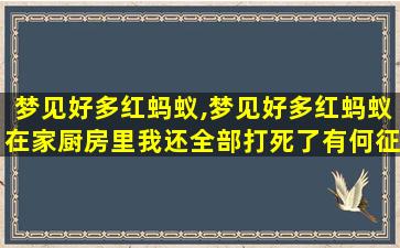 梦见好多红蚂蚁,梦见好多红蚂蚁在家厨房里我还全部打死了有何征兆