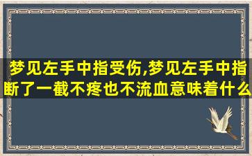 梦见左手中指受伤,梦见左手中指断了一截不疼也不流血意味着什么