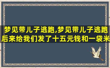 梦见带儿子逃跑,梦见带儿子逃跑后来给我们发了十五元钱和一袋米