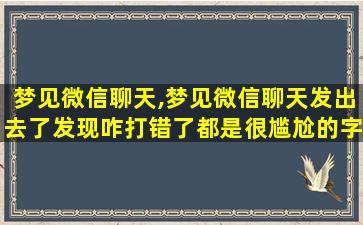 梦见微信聊天,梦见微信聊天发出去了发现咋打错了都是很尴尬的字