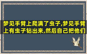 梦见手臂上爬满了虫子,梦见手臂上有虫子钻出来,然后自己把他们全部弄出来了